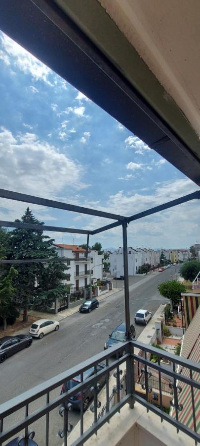 La Casa Del Pino Apartment Policoro Bagian luar foto